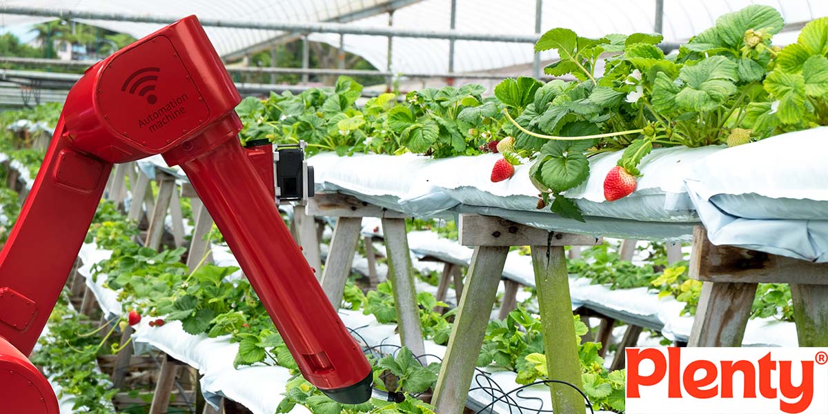 Un miliardo di dollari per le serre verticali